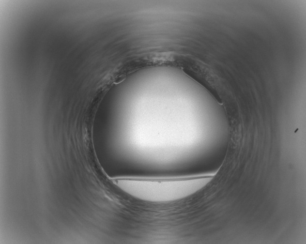 X0000062690704200512211133