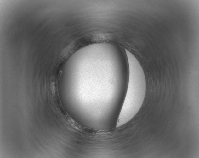 X0000062690716200512211132