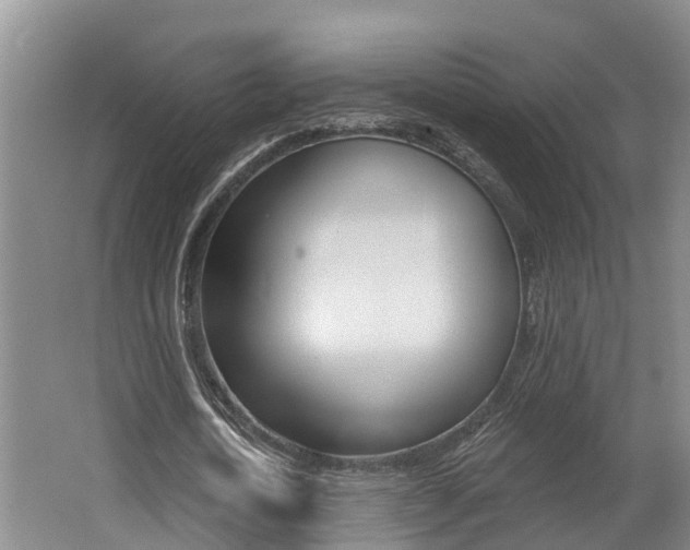 X0000062690722200512211131