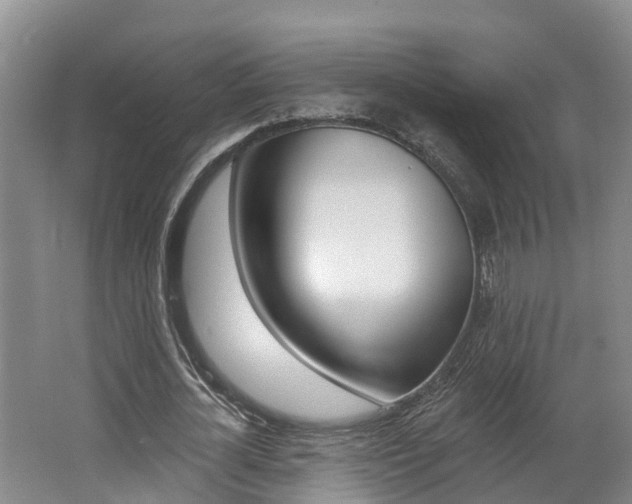 X0000062690724200512211131