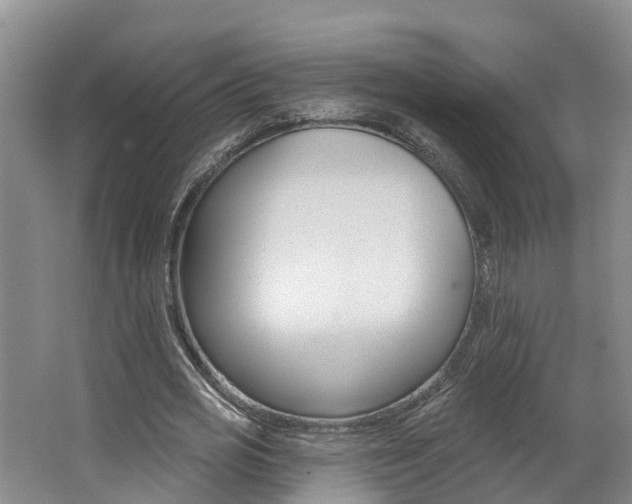 X0000062690725200512211131