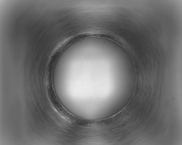 X0000062690732200512211132