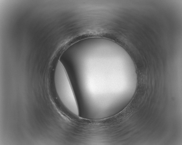 X0000062690736200512211132