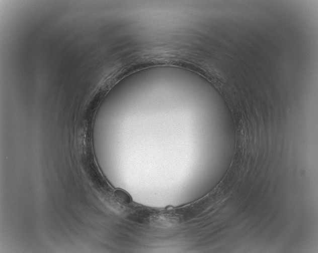 X0000062690739200512211132