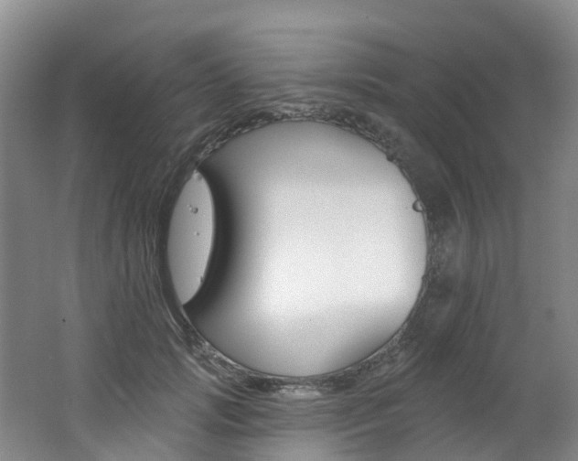 X0000062690749200512211132