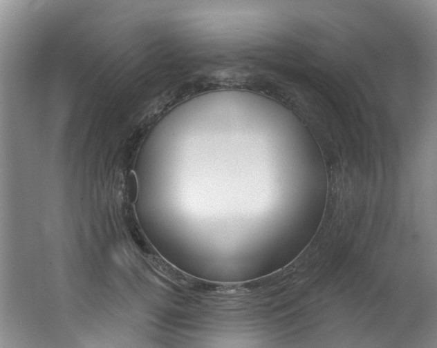 X0000062690752200512211132