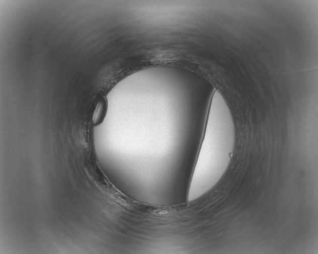 X0000062690755200512211132