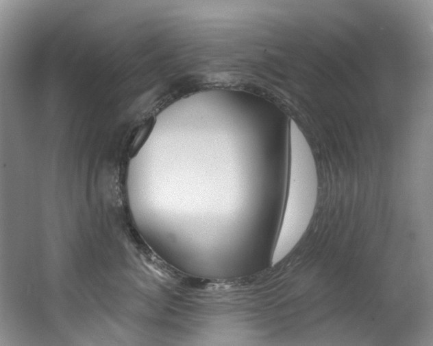 X0000062690764200512211132