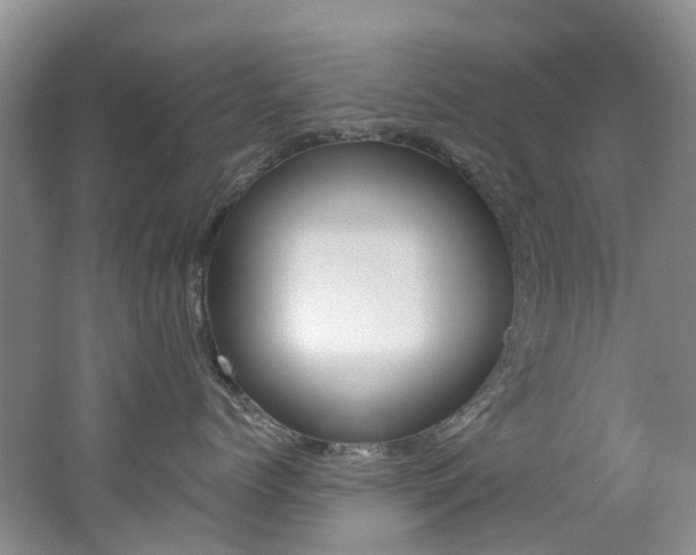 X0000062690768200512211132
