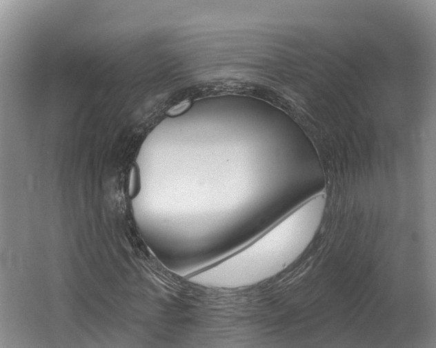X0000062690771200512211131
