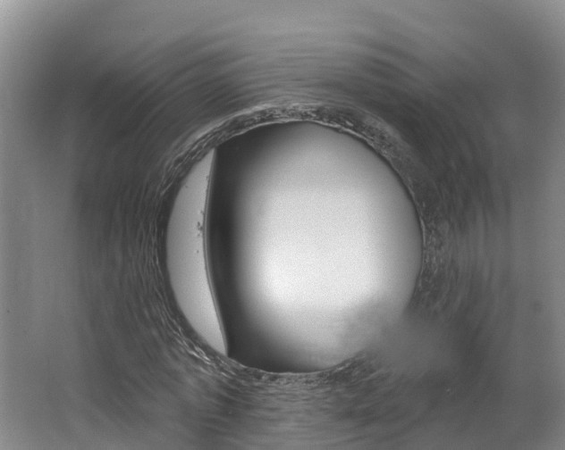 X0000062690773200512211131