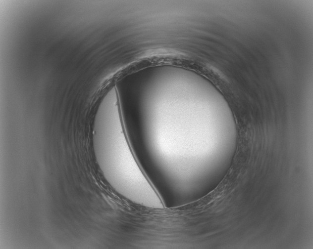 X0000062690775200512211131