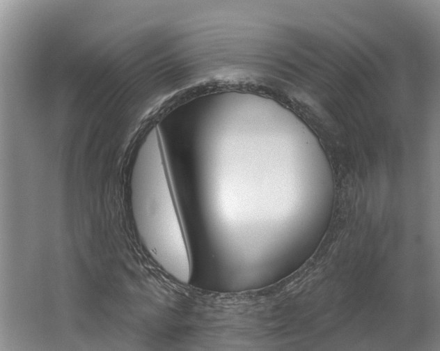X0000062690776200512211131