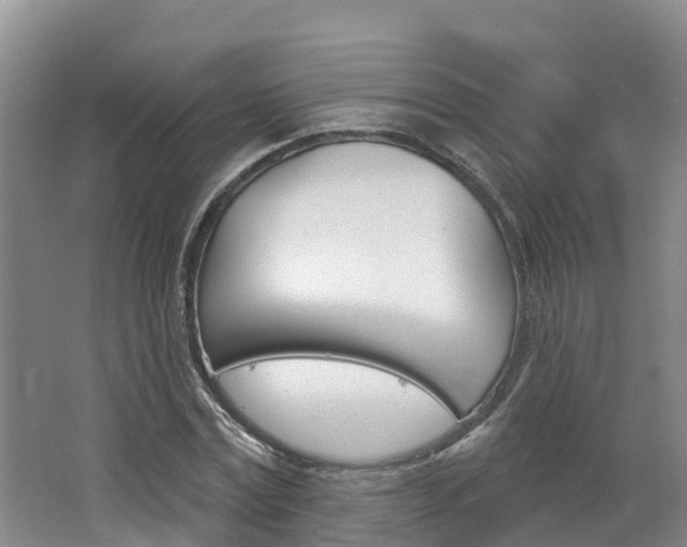 X0000062690779200512211131