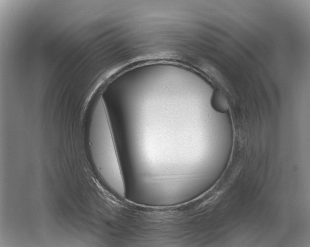 X0000062690781200512211131