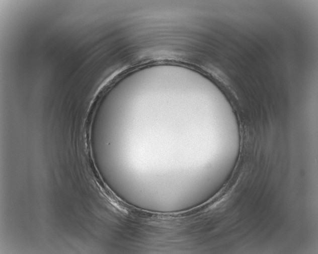 X0000062690782200512211131