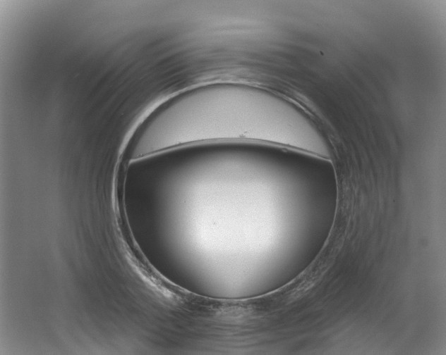 X0000062690788200512211131