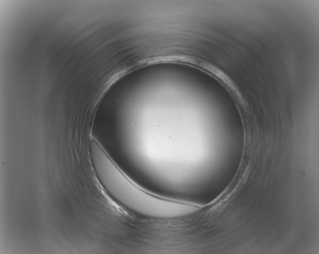 X0000062690809200512211131