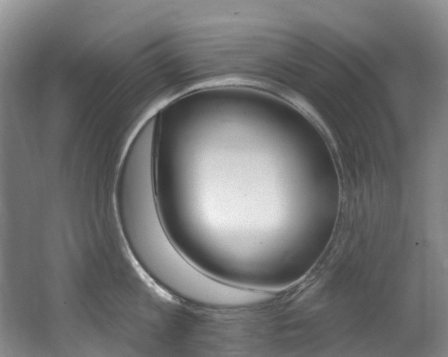 X0000062690813200512211131