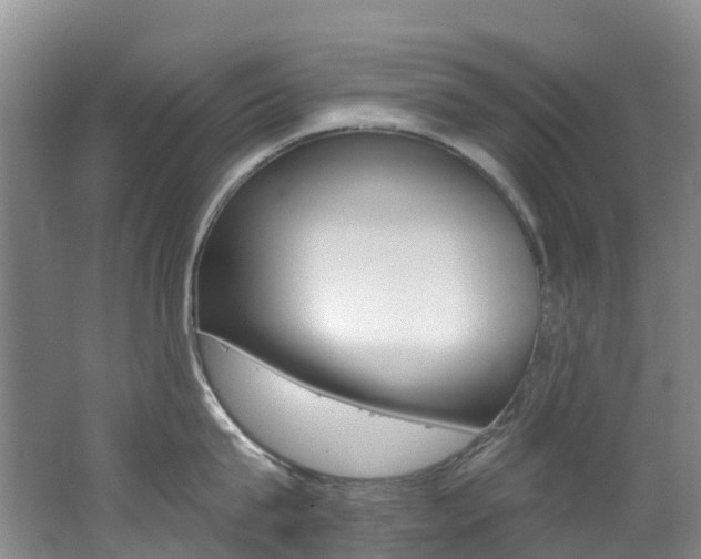 X0000062690815200512211131