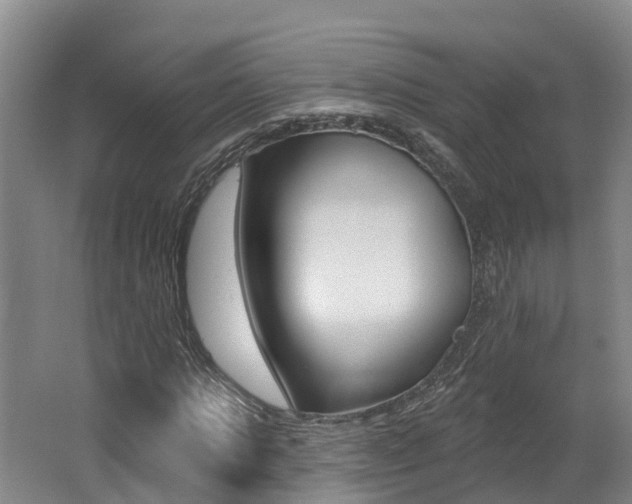 X0000062690821200512211130