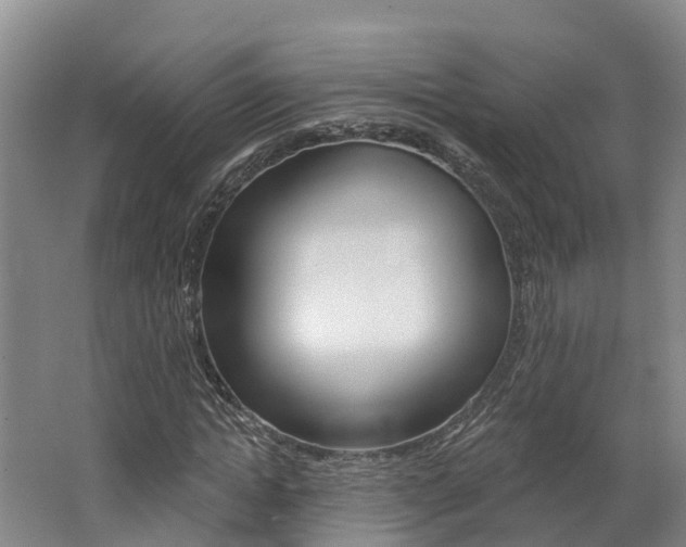 X0000062690822200512211130
