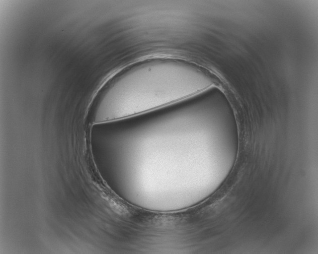 X0000062690829200512211130