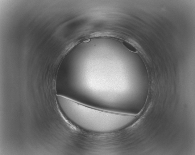 X0000062690849200512211130