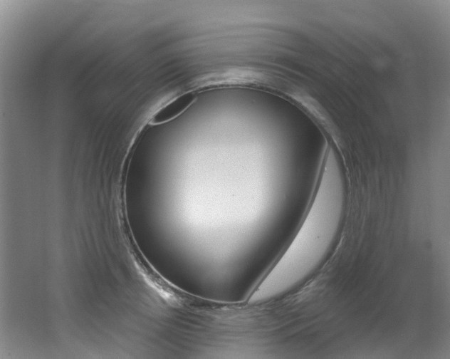 X0000062690850200512211130