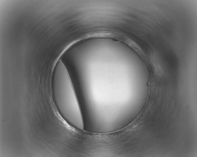 X0000062690852200512211130