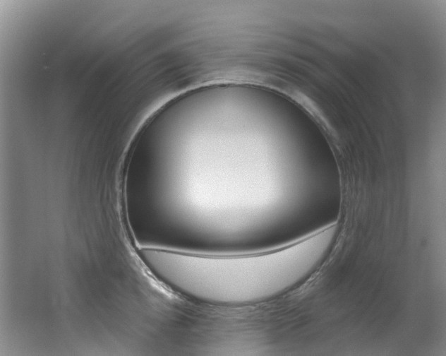 X0000062690854200512211130