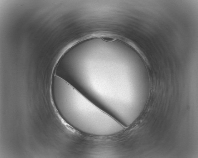 X0000062690861200512211130