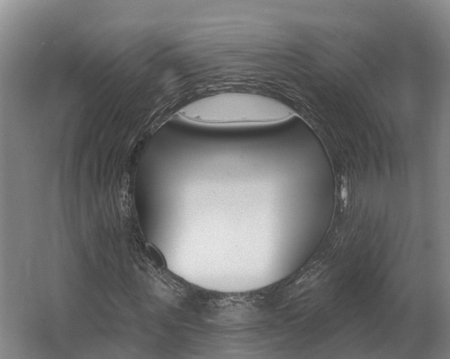 X0000062690867200512211130