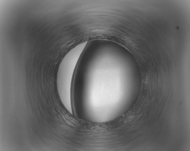 X0000062690868200512211130