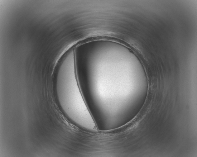 X0000062690877200512211129