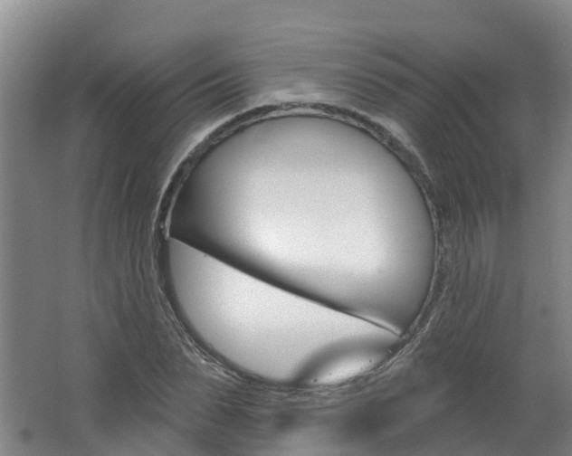 X0000062690879200512211129