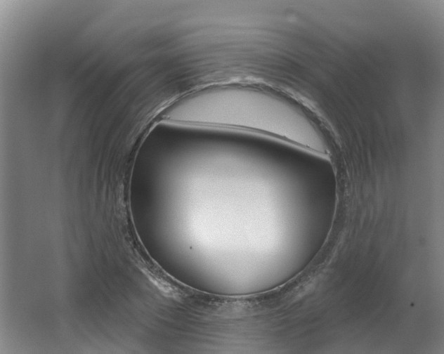 X0000062690881200512211129