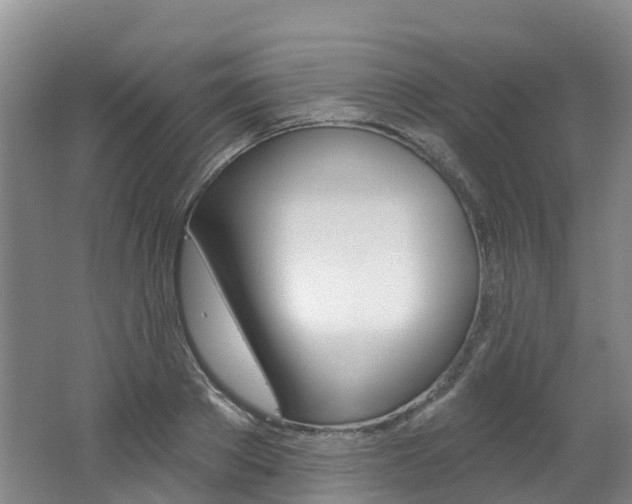 X0000062690889200512211129