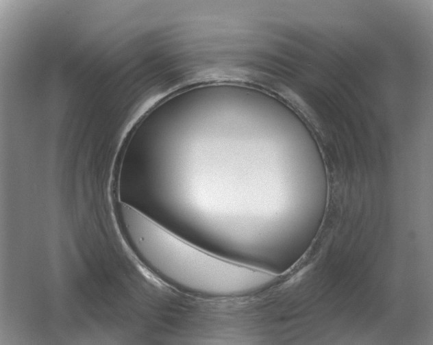 X0000062690893200512211129