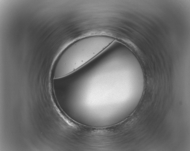 X0000062690894200512211129