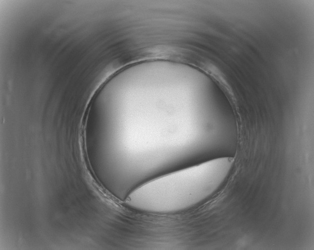 X0000062690899200512211129