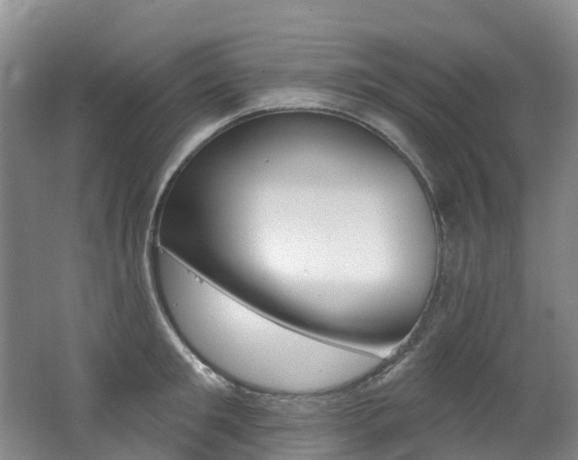 X0000062690901200512211129