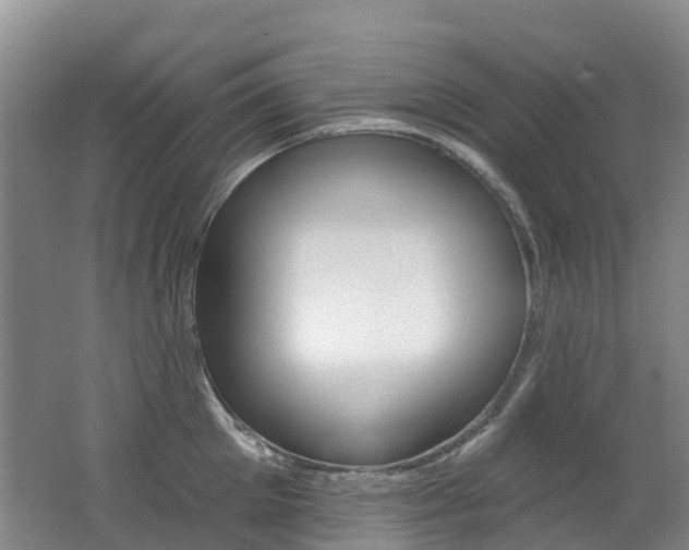 X0000062690905200512211129