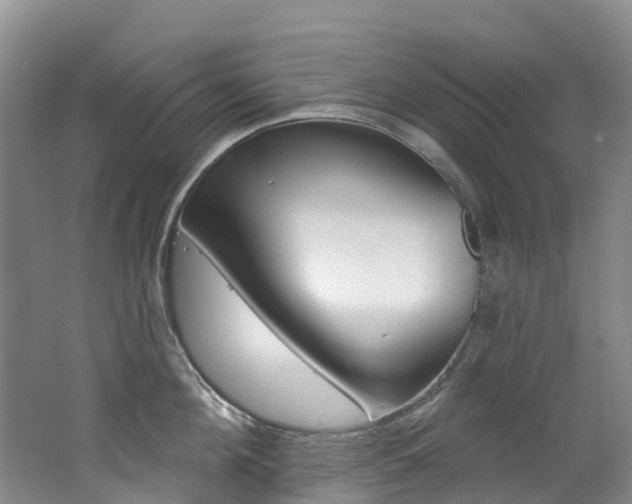 X0000062690908200512211129