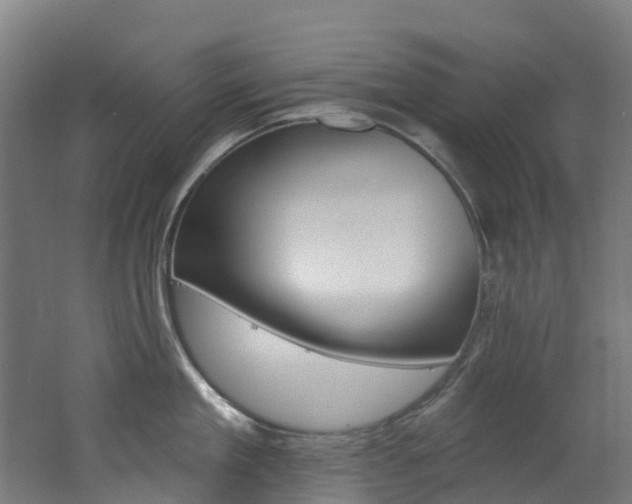 X0000062690909200512211129