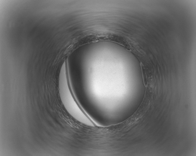 X0000062690916200512211128