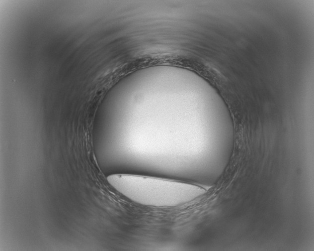 X0000062690917200512211128