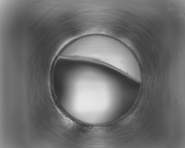 X0000062690942200512211129