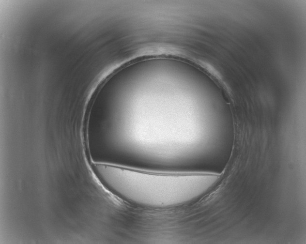 X0000062690943200512211129