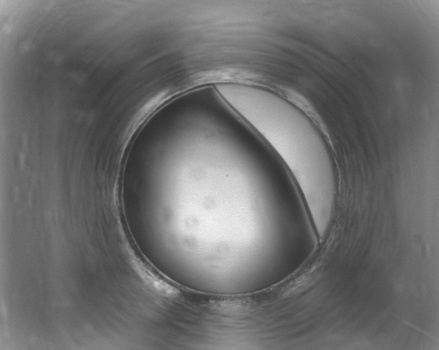 X0000062690946200512211129